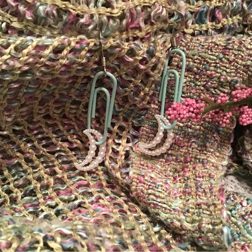 Paperclip Earrings      🐈
